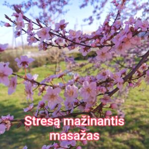 Stresą mažinantis masažas 90min
