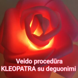 Veido procedūra KLEOPATRA su deguonimi 90min